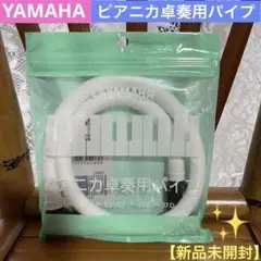 Item thumbnail for item b5330295-96f1-41f1-a102-ab3613c08f8c