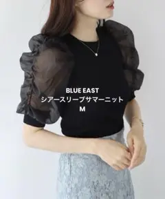 BLUE EAST シアースリーブサマーニット M