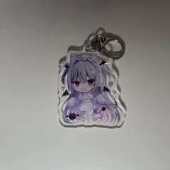 はすね アクキー
