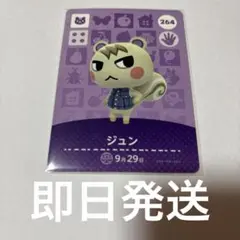 あつ森amiiboカード　ジュン 264