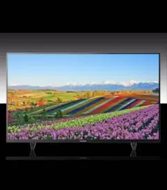 Item thumbnail for item 4c154a9f-774a-4af0-b448-f5ffef10a235