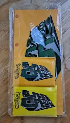 ジャイアンツ　松井秀喜　ホームランカード　1998年　ケース付き　未使用