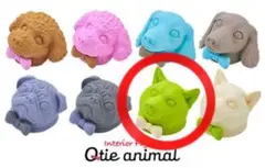 Qtie animal 柴犬 ガチャ