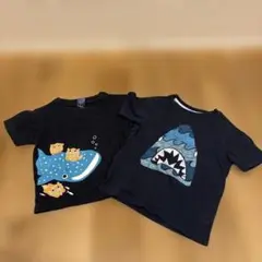 沖縄美ら海水族館 Tシャツ 黒 100cm GAP、ちゅらうみ水族館