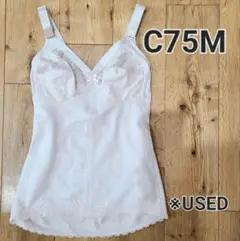 Item thumbnail for item 175bf01d-da7d-48be-8928-4070a2109c1e