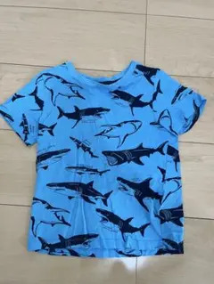 H&M サメ柄 Tシャツ 98/104