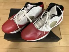 AIR JORDAN 2010