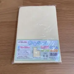 Item thumbnail for item 9560909e-d483-4bf5-bd1e-d00d09cd7dbd