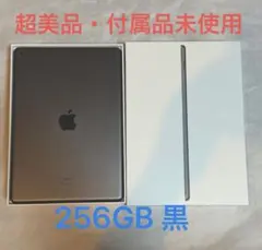 超美品 備品未使用 iPad 256gb 動作確認済 スペースグレイ