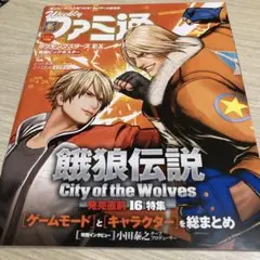 週刊ファミ通　2025年4月21日　No.1894 付録ポスターなし