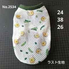 No.2534 Sサイズ 犬服 ハンドメイド タンクトップ メッシュ