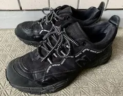 Item thumbnail for item d252a933-4c76-4298-87f9-90006964a1ce