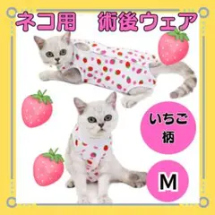 Item thumbnail for item 1400acd9-cdfe-4343-be4c-16c980bcdf01