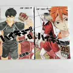 ハイキュー‼︎ 33.5巻＋9巻
