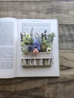 Herbarium 植物標本①