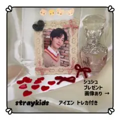 トレカケース カードケース インテリア straykids アイエン プレゼント