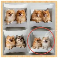 Item thumbnail for item bc892892-29a4-4b17-8e28-0cf78c9fb9b2