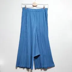 PLEATS PLEASE プリーツプリーズ パンツ ブルー 5号