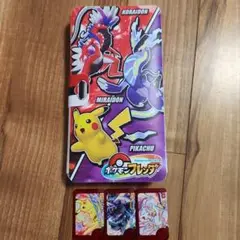 ポケモンフレンダフォルダとフレンダ3枚セット！