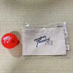 広島サンダーズ　ポーチ　新井雄大　サインボール