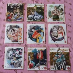 ワンピース キャラクター色紙9種類セット