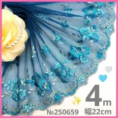 №250659 チュールレース