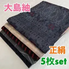 ⭐️s-190【大島紬】5枚set⭐️正絹⭐️リメイク素材、着付け練習用など
