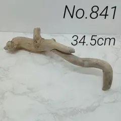 アク抜き済み流木【841】❁スーパーセール❁