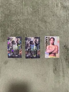 RIZIN ポテトスティック　メタリックプラカード