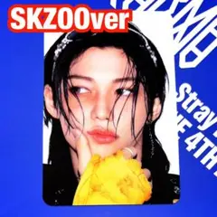 straykids スキズ karma フィリックス トレカ ピリ skzoo②