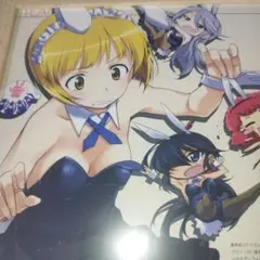 ガールズ＆パンツァー 　サメさんチーム　額装　B5サイズ