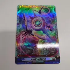 天を覆うは漆黒の翼　FR １枚