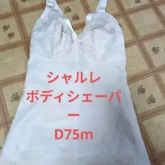 Item thumbnail for item 44128747-a6fb-4618-a913-7405a2f1b3ab