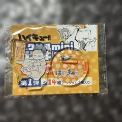 ハイキュー アクリルminiフィギュア 影山飛雄 1点