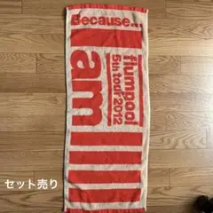 flumpool まとめ売り flumpoolライブグッズまとめ売り - メルカリ