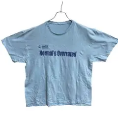 メンズTシャツ　水色　Lサイズ　クルーネック　シンプル　文字プリント【4357】