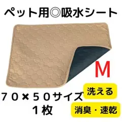 おしっこシート L グレー 1枚