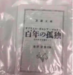 百年の孤独 池澤夏樹監修 読み解き支援キット
