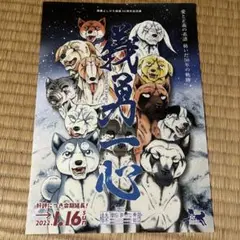銀牙 高橋よしひろ フライヤー