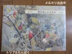 安野光雅　画集　野の花と小人たち　岩崎書店