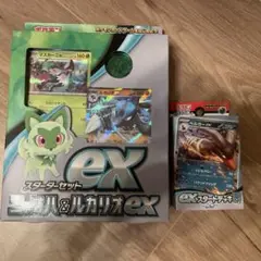 ポケモンカードゲーム スターターセットex ニャオハ&ルカリオex +α