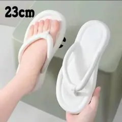 Item thumbnail for item 41a071d2-fa17-424d-8a5d-92ac4f20988d