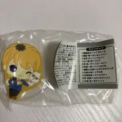 ときメモGS4 巴征道　サンリオ ラバーマグネット