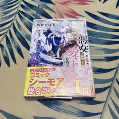 悪女(と誤解される私)が腹黒王太子様の愛され妃になりそうです!?