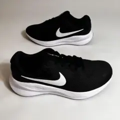 Item thumbnail for item df923379-7e17-4704-a98d-4d6adf89d16b