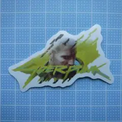 【新品】防水ステッカー★シール サイバーパンク No.4257