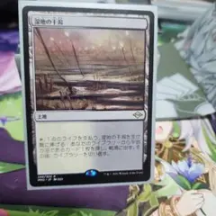 MTG 湿地の干潟
