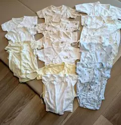 Item thumbnail for item 94c71537-0dca-4fb9-8601-772449c8f08d