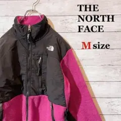 【人気アイテム】THE NORTH FACE 刺繍ロゴデナリジャケット