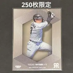 BBM 2025 阪神タイガース 大山悠輔 250枚限定 077/250